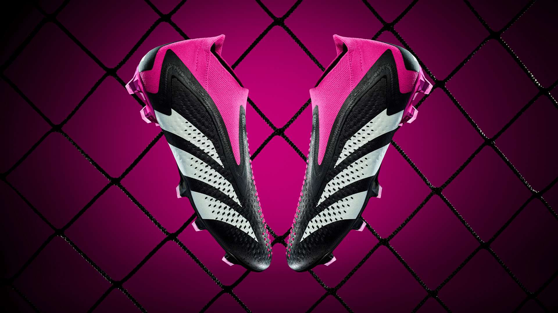 在未来的足 在未来的足