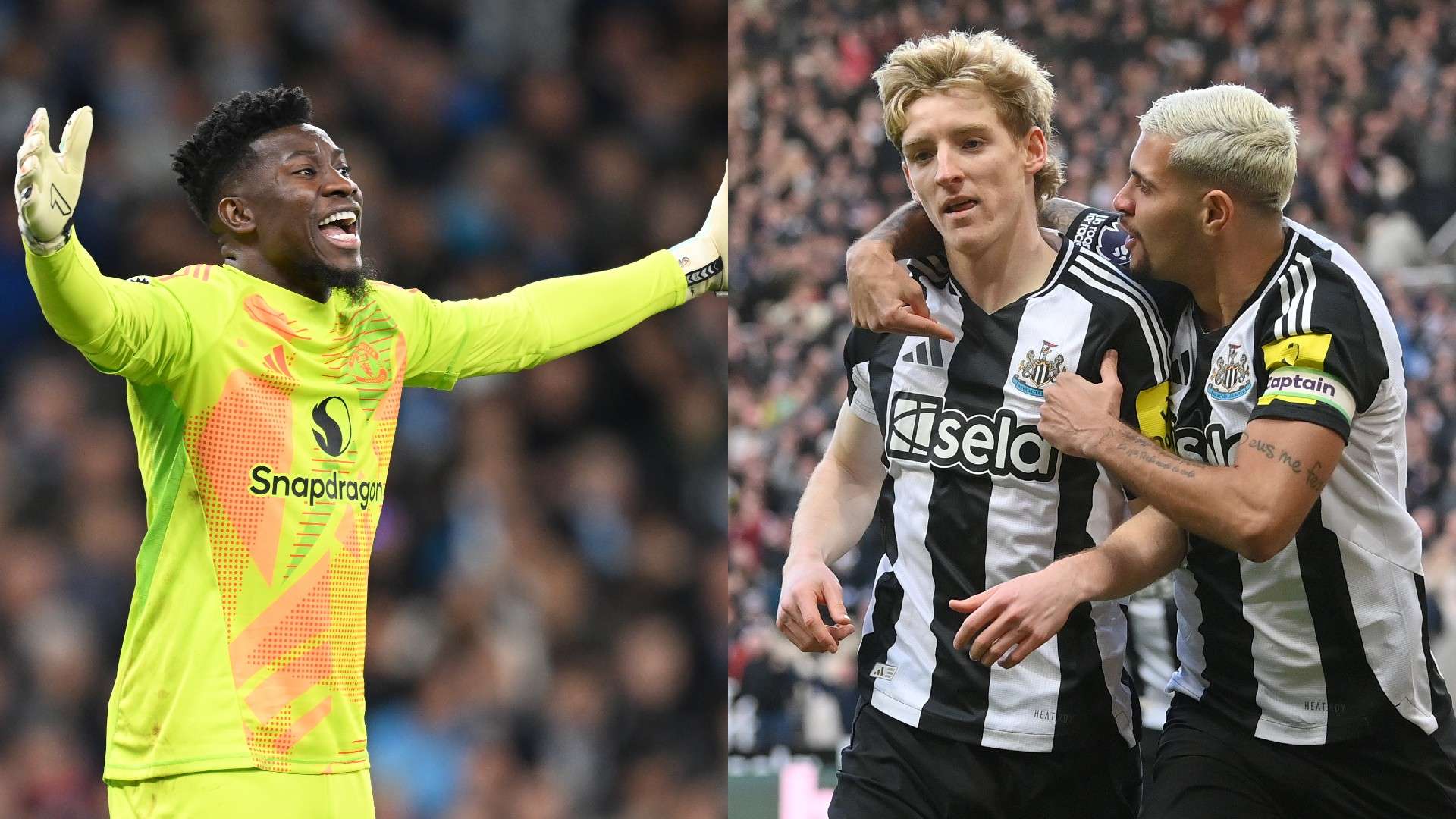 作为中国羽 作为中国羽